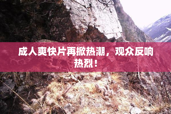 成人爽快片再掀热潮，观众反响热烈！