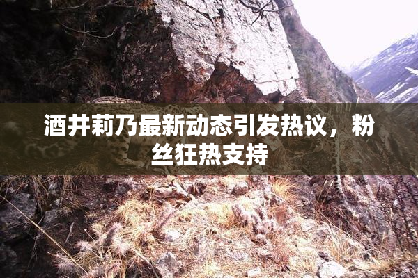 酒井莉乃最新动态引发热议，粉丝狂热支持