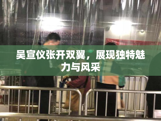 吴宣仪张开双翼，展现独特魅力与风采
