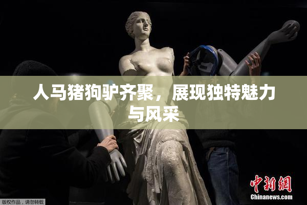 人马猪狗驴齐聚，展现独特魅力与风采