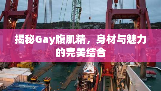 揭秘Gay腹肌精，身材与魅力的完美结合