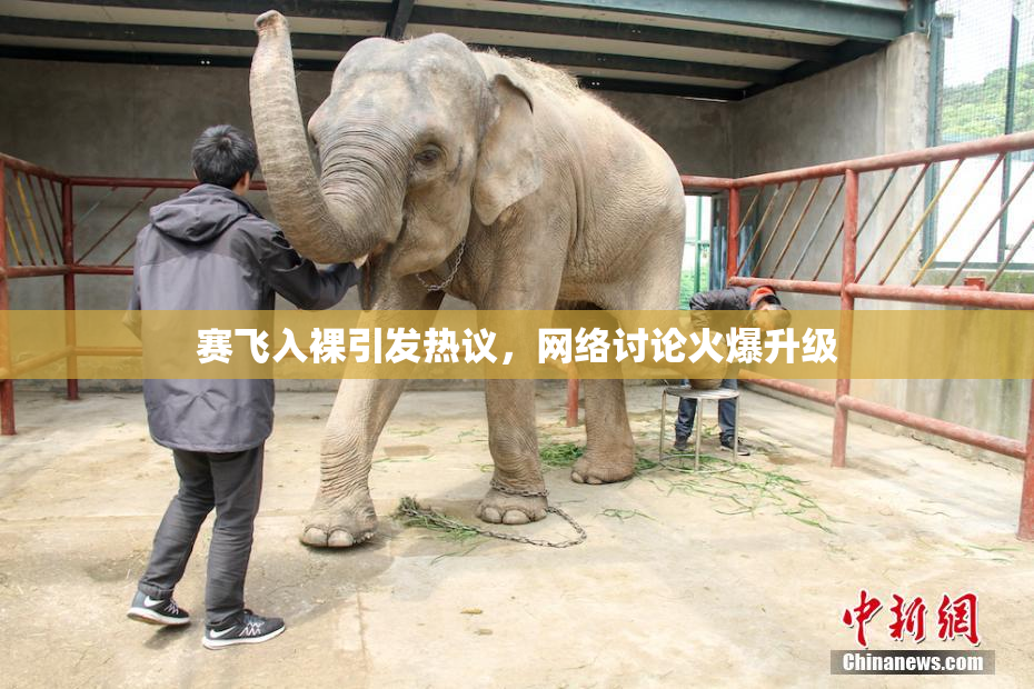赛飞入裸引发热议，网络讨论火爆升级