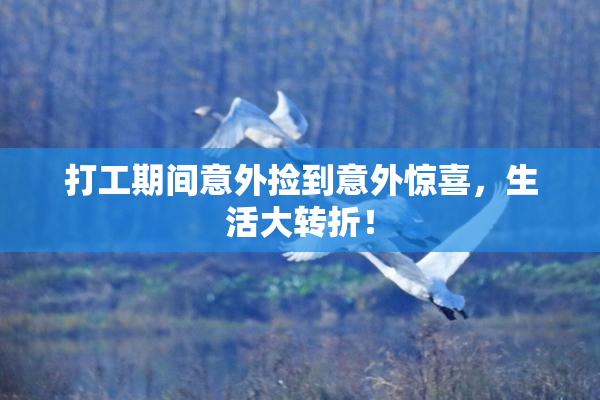 打工期间意外捡到意外惊喜，生活大转折！