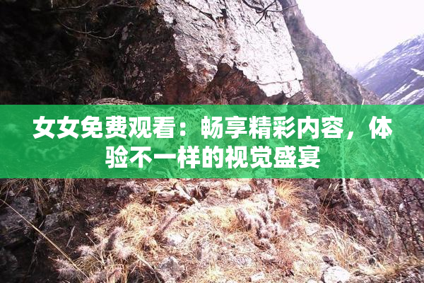 女女免费观看：畅享精彩内容，体验不一样的视觉盛宴