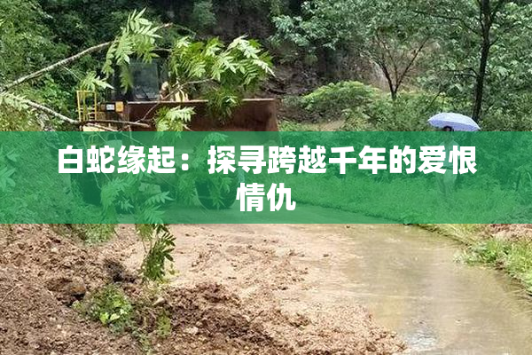 白蛇缘起：探寻跨越千年的爱恨情仇