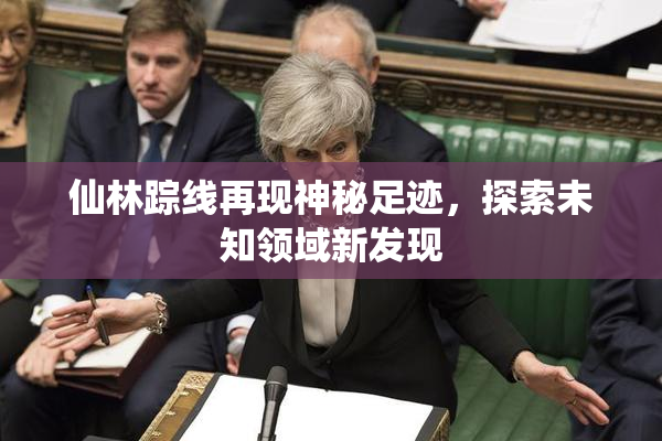 仙林踪线再现神秘足迹，探索未知领域新发现