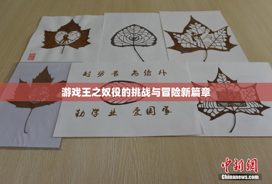 游戏王之奴役的挑战与冒险新篇章