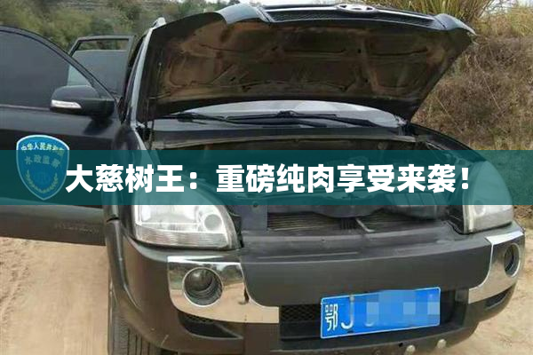 大慈树王：重磅纯肉享受来袭！