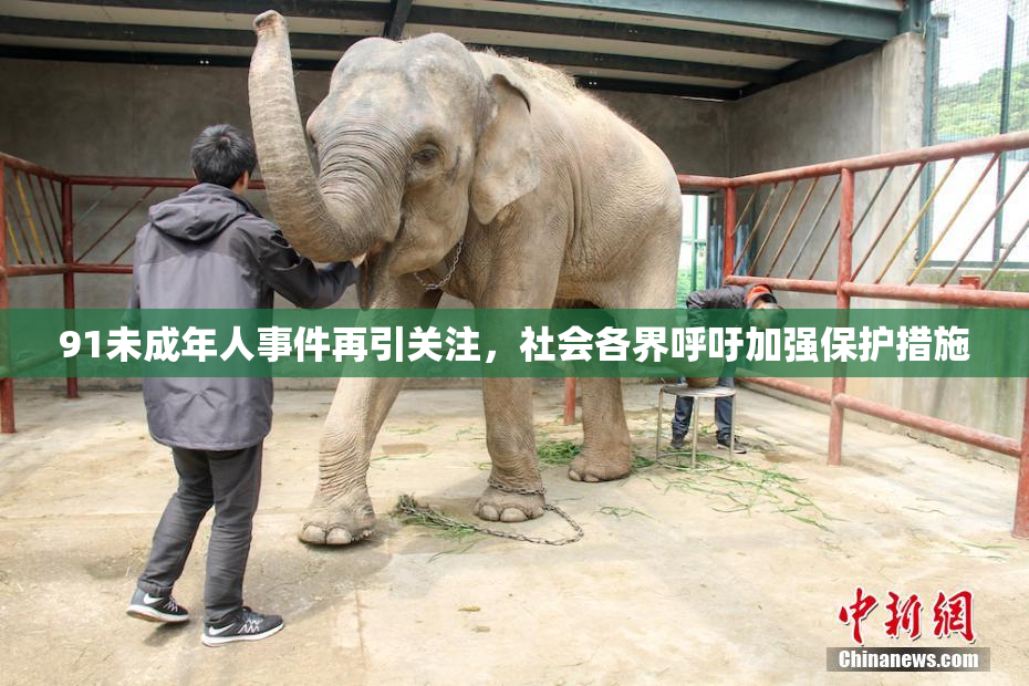 91未成年人事件再引关注，社会各界呼吁加强保护措施