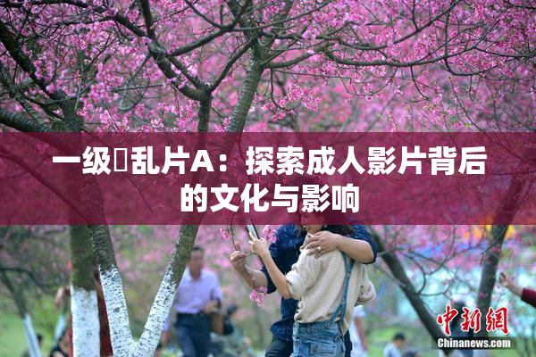 一级婬乱片A：探索成人影片背后的文化与影响