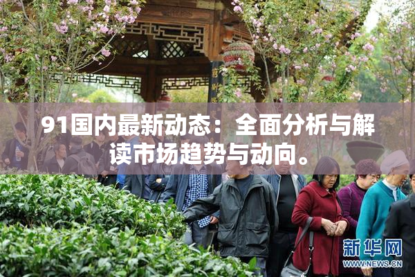 91国内最新动态：全面分析与解读市场趋势与动向。