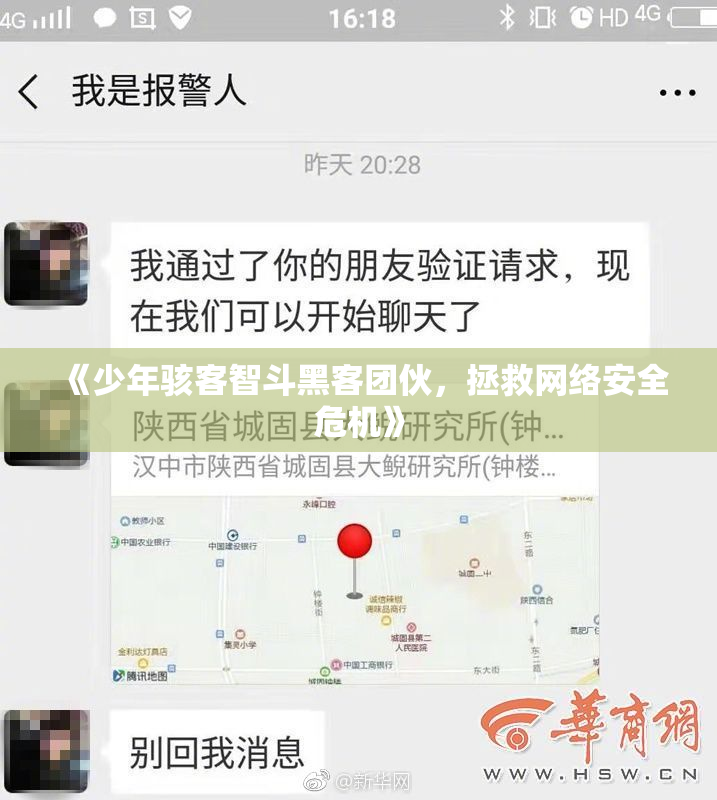 《少年骇客智斗黑客团伙，拯救网络安全危机》
