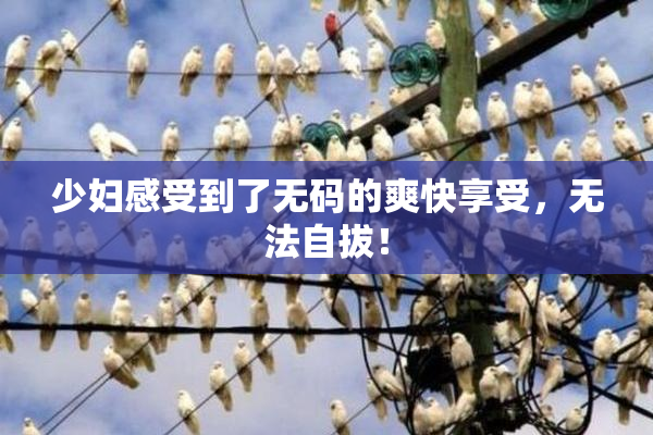 少妇感受到了无码的爽快享受，无法自拔！