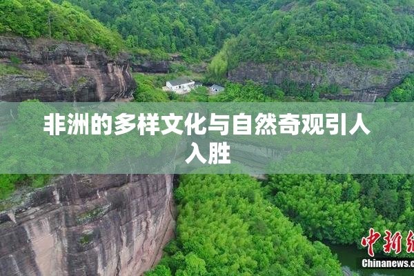 非洲的多样文化与自然奇观引人入胜
