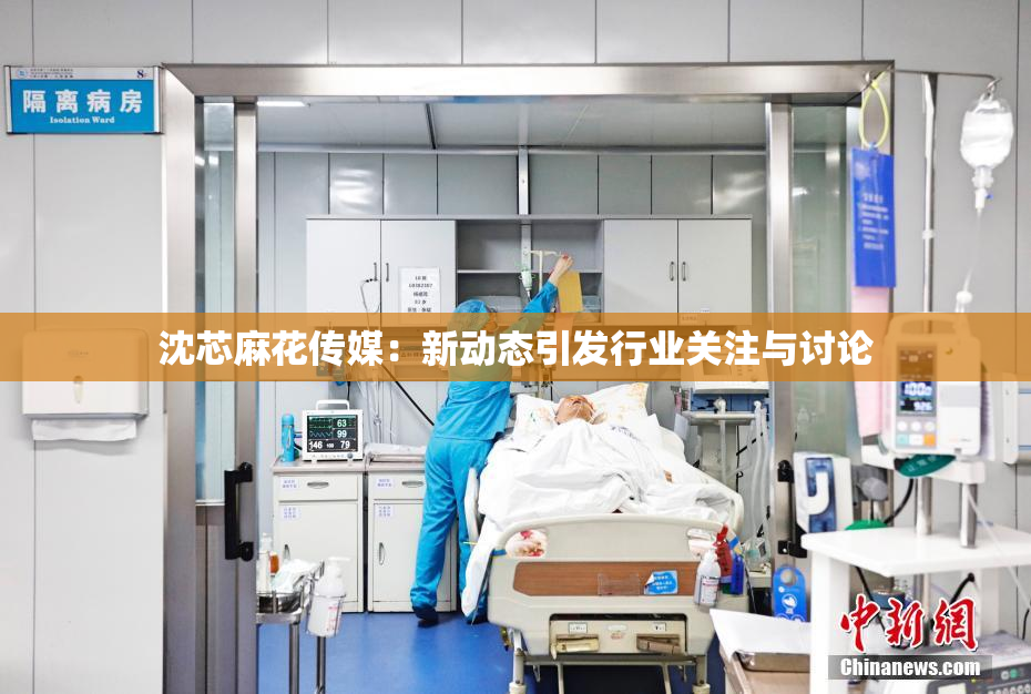 沈芯麻花传媒：新动态引发行业关注与讨论