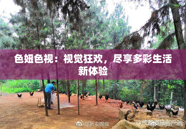色妞色视：视觉狂欢，尽享多彩生活新体验