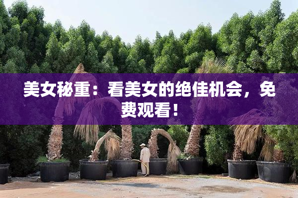 美女秘重：看美女的绝佳机会，免费观看！