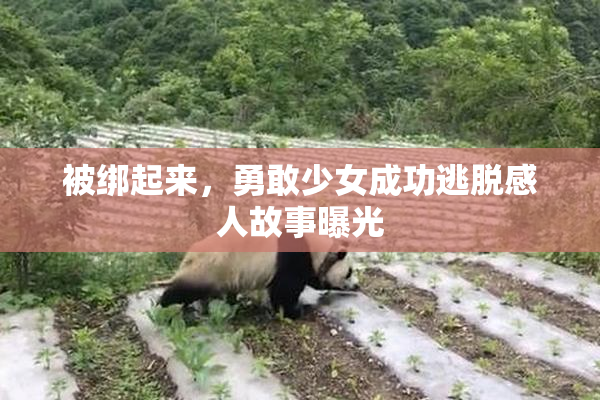 被绑起来，勇敢少女成功逃脱感人故事曝光