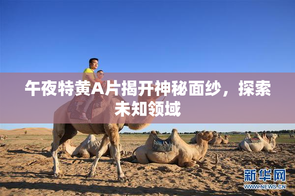 午夜特黄A片揭开神秘面纱，探索未知领域