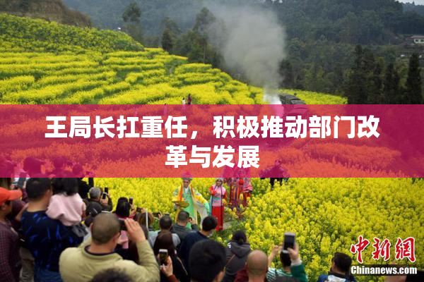 王局长扛重任，积极推动部门改革与发展