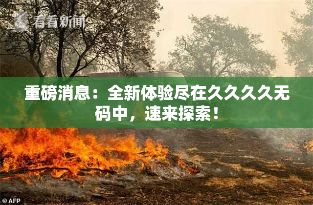 重磅消息：全新体验尽在久久久久无码中，速来探索！