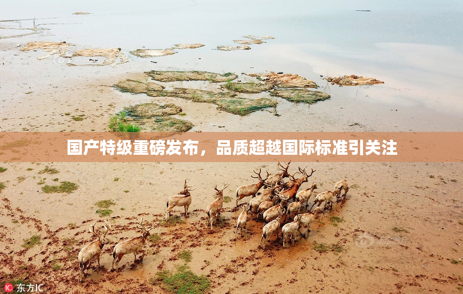 国产特级重磅发布，品质超越国际标准引关注