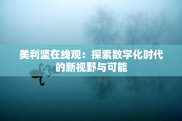 美利坚在线观：探索数字化时代的新视野与可能