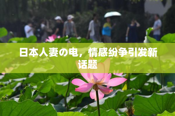 日本人妻の电，情感纷争引发新话题