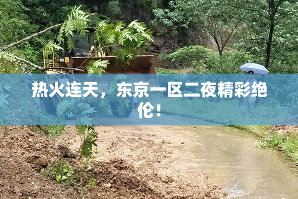 热火连天，东京一区二夜精彩绝伦！