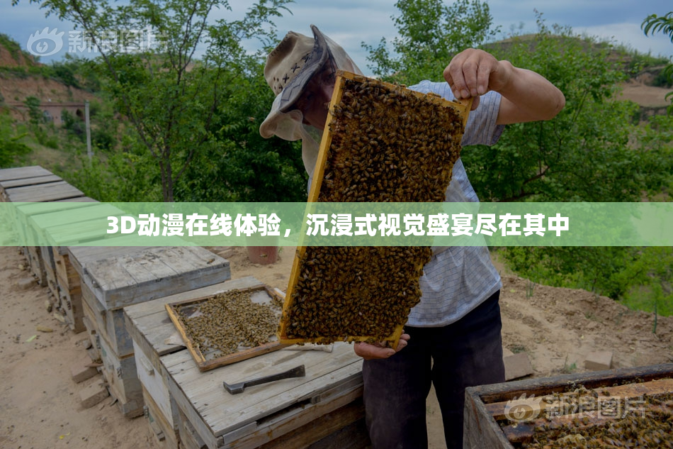 3D动漫在线体验，沉浸式视觉盛宴尽在其中