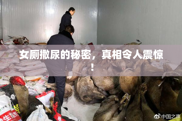 女厕撒尿的秘密，真相令人震惊！