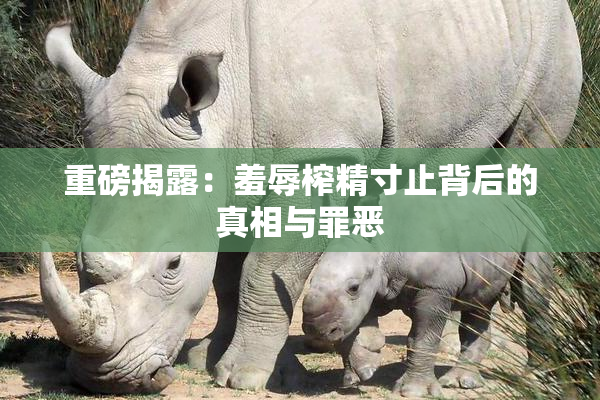 重磅揭露：羞辱榨精寸止背后的真相与罪恶