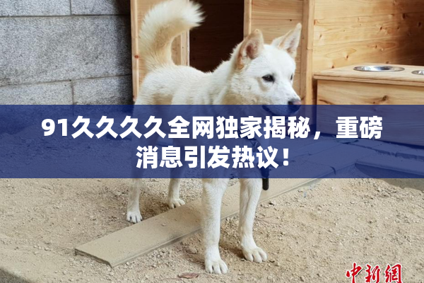 91久久久久全网独家揭秘，重磅消息引发热议！
