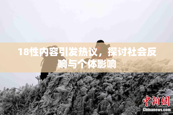 18性内容引发热议，探讨社会反响与个体影响