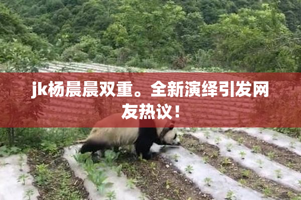 jk杨晨晨双重。全新演绎引发网友热议！