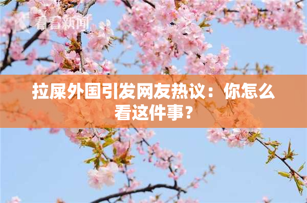 拉屎外国引发网友热议：你怎么看这件事？