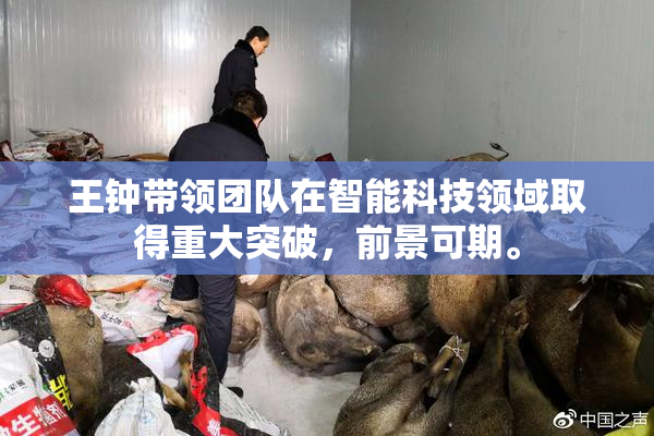 王钟带领团队在智能科技领域取得重大突破，前景可期。