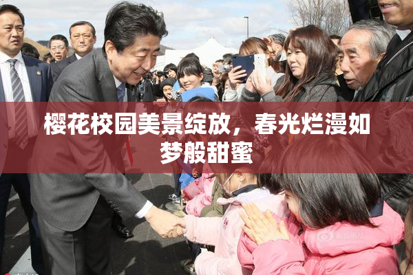 樱花校园美景绽放，春光烂漫如梦般甜蜜