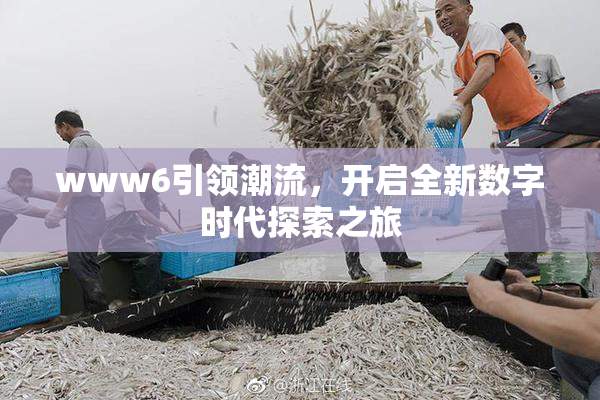 www6引领潮流，开启全新数字时代探索之旅