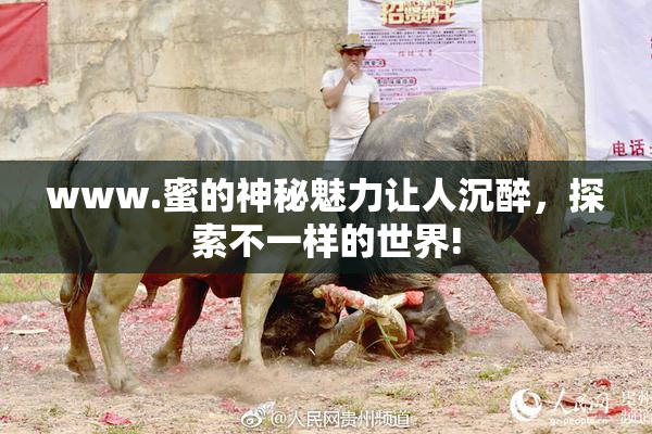 www.蜜的神秘魅力让人沉醉，探索不一样的世界!