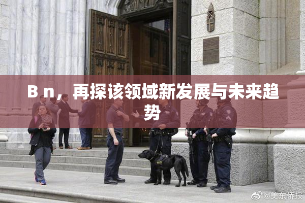 B n，再探该领域新发展与未来趋势