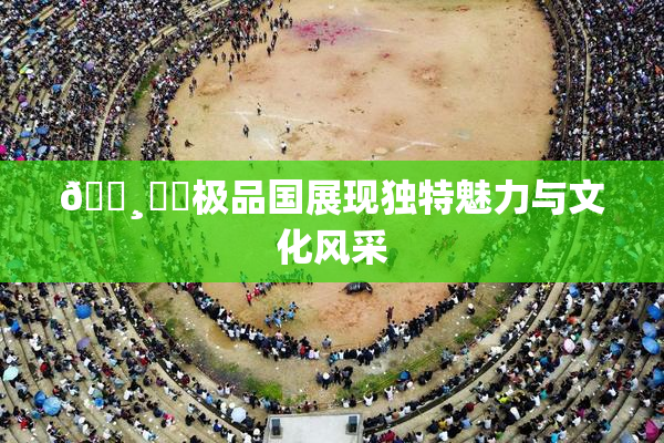 🌸‌✿极品国展现独特魅力与文化风采