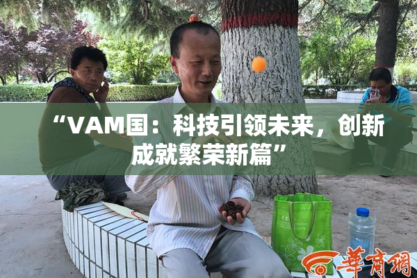 “VAM国：科技引领未来，创新成就繁荣新篇”