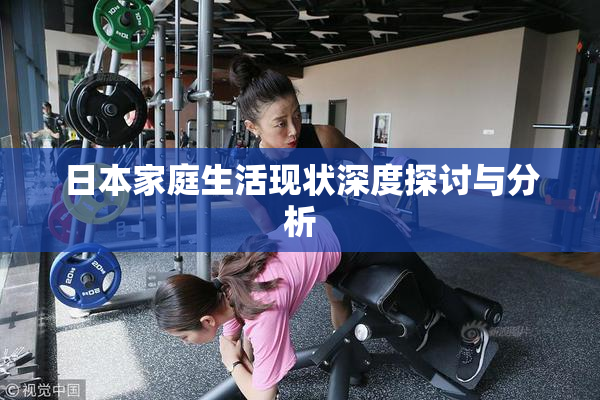 日本家庭生活现状深度探讨与分析