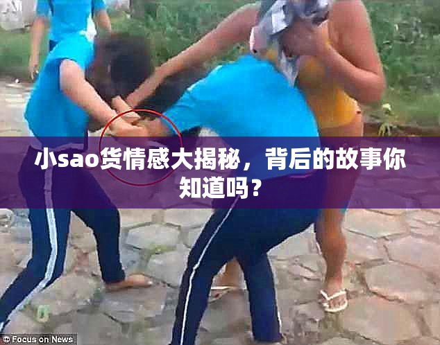 小sao货情感大揭秘，背后的故事你知道吗？