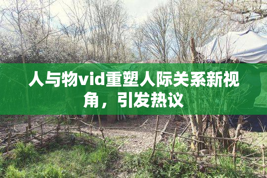 人与物vid重塑人际关系新视角，引发热议