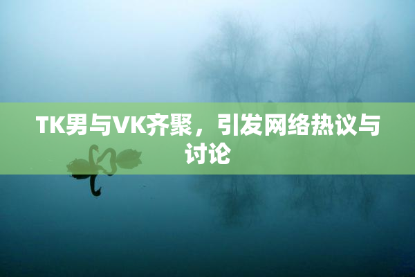TK男与VK齐聚，引发网络热议与讨论