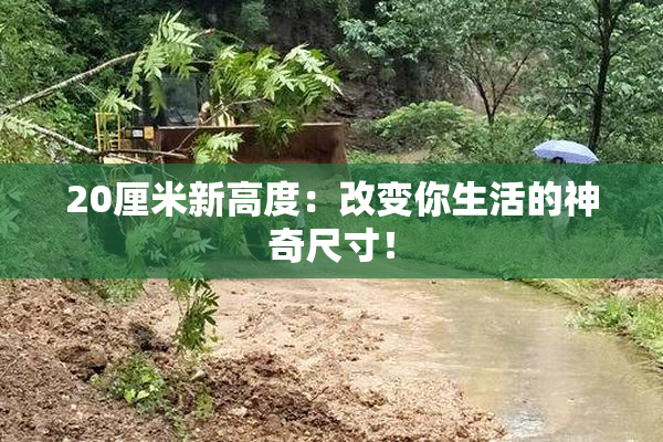20厘米新高度：改变你生活的神奇尺寸！