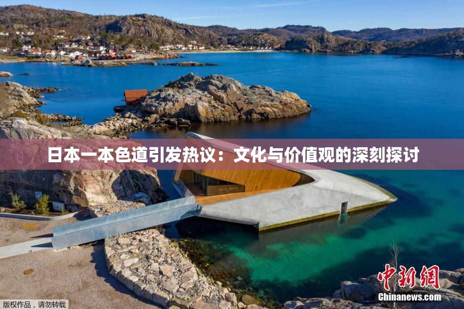 日本一本色道引发热议：文化与价值观的深刻探讨