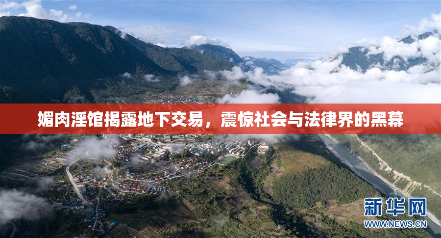 媚肉淫馆揭露地下交易，震惊社会与法律界的黑幕